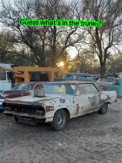 Classic Car Trunk Mystery Unveiled