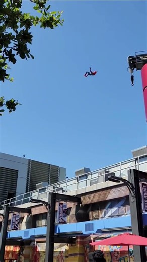 Spider-Man at DCA - Animatronic or REAL Stuntman? 🕸🕷🤔