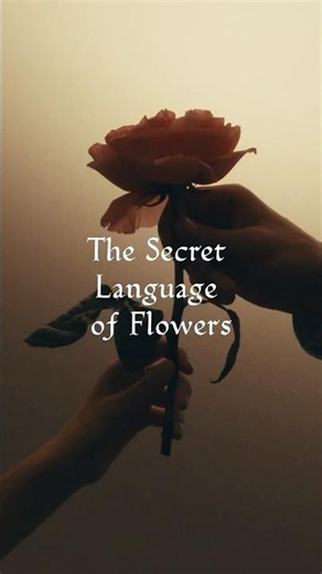 Secret Language of Flowers • Summer 26