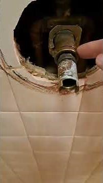 Ace hardware moen cartridge removal tool.