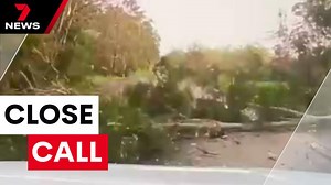 7NEWS cameraman and journalist have terrifying close call with falling tree