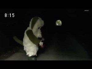 ワンワン トンネルを逆再生してみた