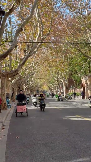 Large-Capacity Delivery Bicycle with Front/ Rear Loadi