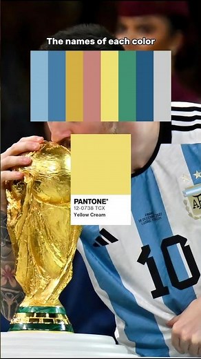 ​Messi World Cup Victory Color Palette Revealed Iconic Colors #colorpalette #colortheory #satisfying