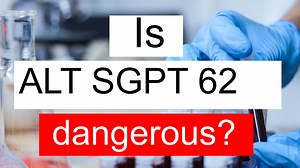 Is ALT SGPT 62 normal, high or low? What does Alanine aminotransferase level 62 mean?