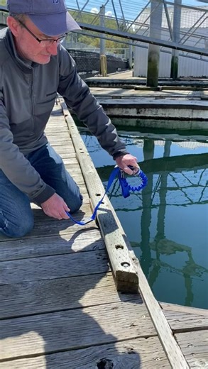 Many of our customers have come upon unique docking situations. Not all docks are created equal. Some docks don't even have cleats. Our customers have been asking for docking solutions when they come to a dock with rails, posts and cleats. This new convertible bungee dock tie started with our standard hook and loop dock tie and added a loop end extension. This additional extension gives boaters many options and flexibility in a variety of docking situations. Use options 1. Use as our standard ho