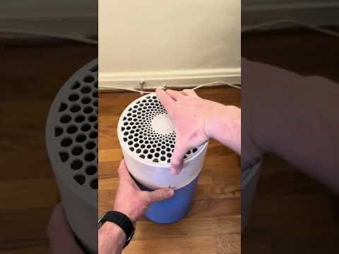 How to Replace & Reset the BlueAir Blue Pure 411 Air Filter (HEPA & Pre-Filter Guide)