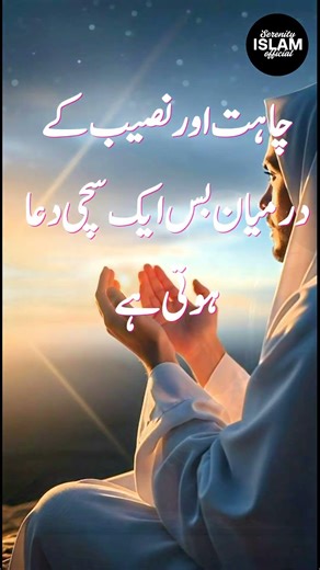 Best Islamic Life Quotes #lifequotes #islamicquote #shorts #viral