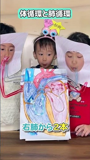 体循環・肺循環について🫀 #解剖生理学 #体循環・肺循環 #看護師 看護学生