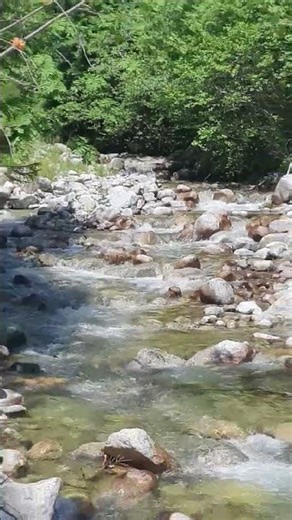#Tatra #mountain #river with a #chilly #water | #magic #view of #Tatra mountains