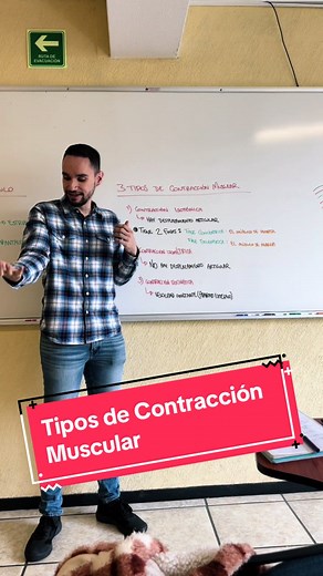 Tipos de Contracción Muscular: Isotónica, Isométrica, Isocinética