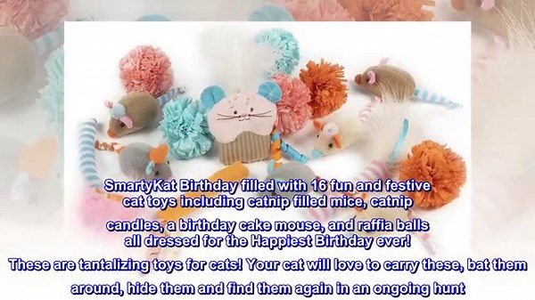 SmartyKat Variety Pack Cat Toy Bundles for Cats & Kittens, Fun & Engaging Play