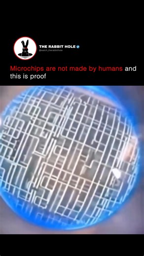 1.9M views · 37K reactions | Microchips are not made by humans and this is proof | The Rabbit Hole | Facebook