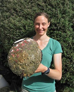 The Hunt for Monster Red Abalone