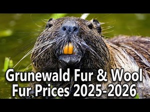 Fur Prices 2025-2026 Iowa ‪@GFWmarket‬