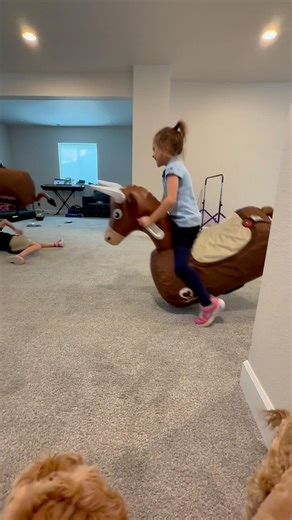 These inflatable bouncy cows are amazing if you have kids with a ton of energy
