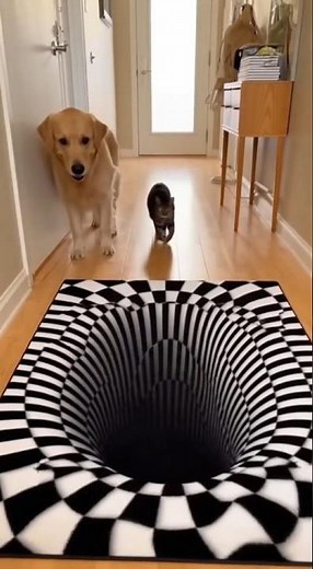 🐶 Dog vs Optical Illusion Rug 😱 | Cat Walks Fearlessly Over the Vortex!