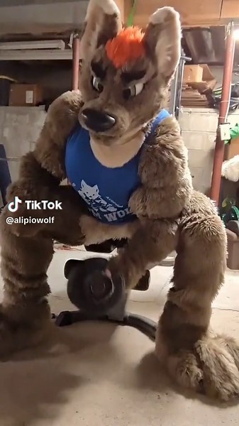 Furry Motivation: Build Stronger Muscles