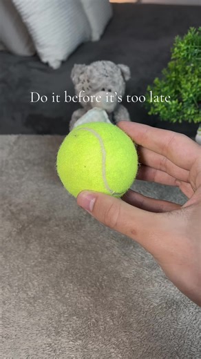Memorialize Your Beloved Pet Before It's Too Late