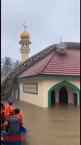 78K views · 74 reactions | A terrifying scene captured in broad...