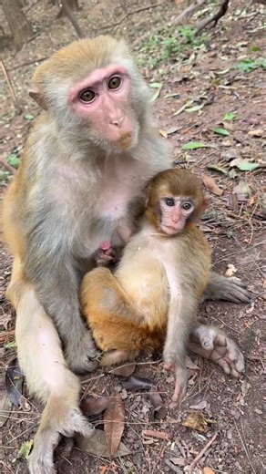 Mother's Love Has No Language! 😍 #Shorts #Kindness #trending #shorts #youtubeshorts