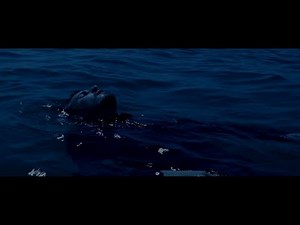 Laxxard - catching ghosts