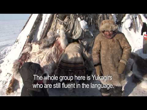Voices from the Tundra