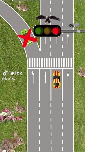 A video explains clearly the rules of stop lines#driving #car #traffic #rules