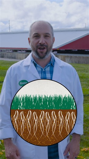 14 reactions | Revitalize your lawn after a summer of hard work and gear it up for the winter ahead! Get ready to implement Dr. Scott's amazing fall feeding tips.  Find more fall lawn tips here: https://scotts.com/en-us/learn/scott-for-scotts.html | Scotts Lawn Care | Facebook