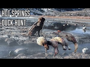 Duck Hunting the Colorado Mountains | Public Land HOT SPRINGS on the River