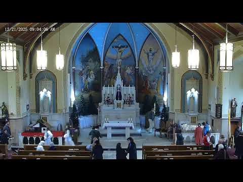 Holy Angels Catholic Church Live Stream