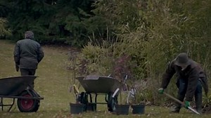 Before The Winter Chill 2013