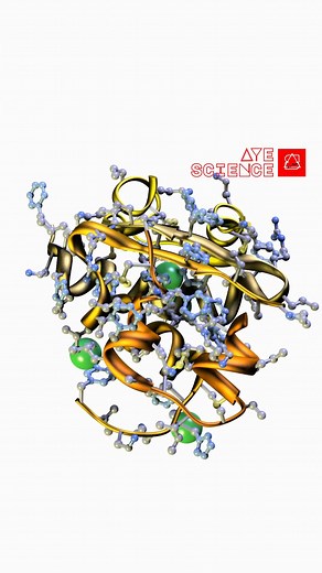 2.9K views · 28 reactions | Why ChoppingOnions暈Makes Us Cry凉? | AyE sciEncE | Facebook