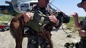 4.7K views · 197 reactions | On Wednesday, the #OCSD K9 Unit, #OCSD...