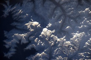 Dog and cat owners: What you need to know before traveling with your pet