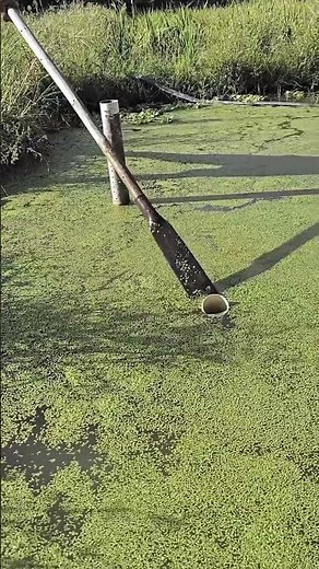 Pond Cleaning & Water Removal | Simple Tools and Techniques