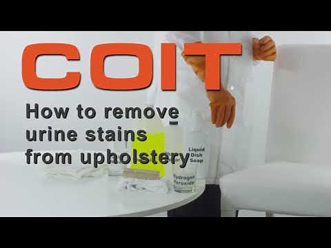 How to Remove Urine from Furniture – Quick & Effective DIY Method! | Coit.com
