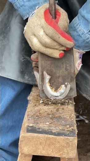 Save! The inside of the donkey's hoof is yellow and rotten丨ASMR