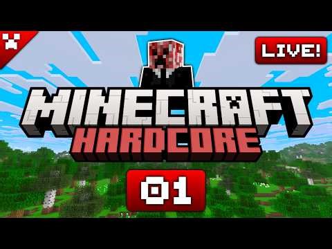 Minecraft Hardcore but it's LIVE and super chill! (Episode 1)