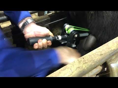 Callicrate PRO Bander demo