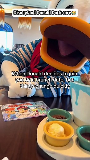 Fun Moments with Donald Duck at Disneyland