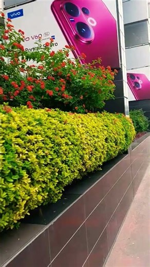 #new #viralvideo কতো সুন্দর ফুল ফোটেছে #love