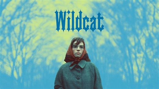 Wildcat