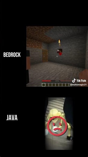 bro thought it is javaa #minecraftjavavsbedrock #minecraft