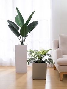 [Hot Item] Office Ornamental New Design Flower Pot Planter Macetasfor Indoor Decoration Use Indoor Plant Pots Bonsai (GL2-2)