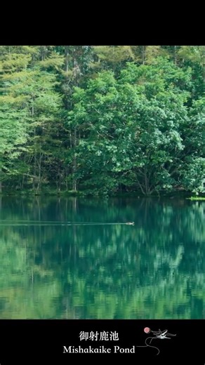 manatora 御射鹿池｜Mishakaike Pond feat. 石川愛美 #manatora #japan #japantravel #cinematic #nagano