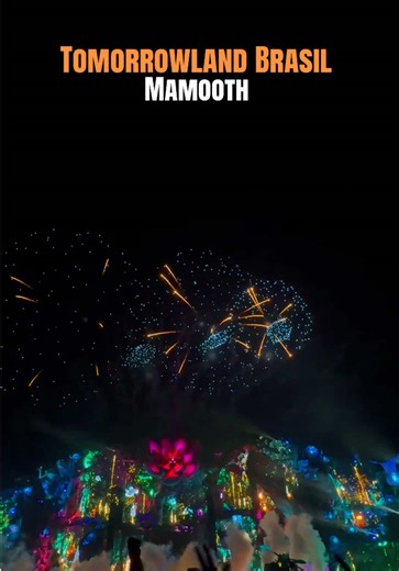 #edm #fireworks #dimitrivegasandlikemike #tomorrowland #pov