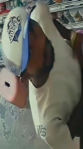 Not accepting being reprimanded by shop employees