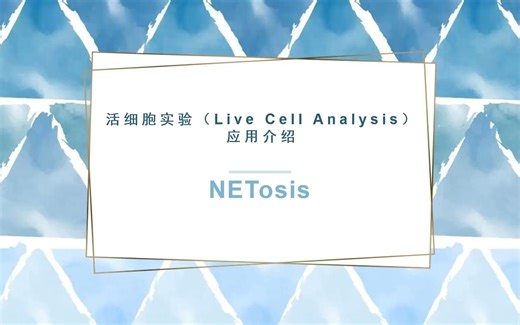 LCA活细胞实验——NETosis
