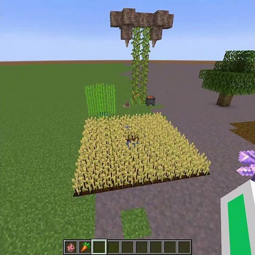 Random Tick Speed 5000 In Minecraft